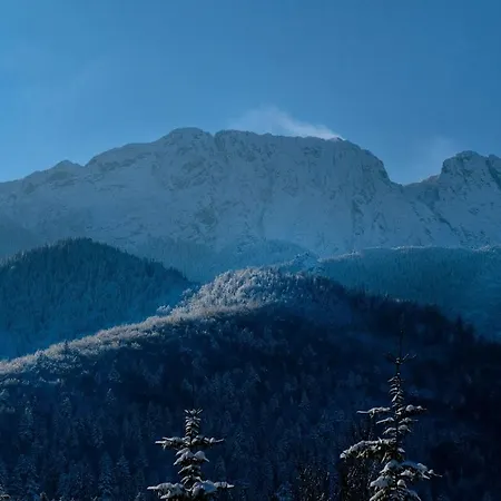 Male Zywczanskie Spa, Odkryj-zakopane Апартаменты *