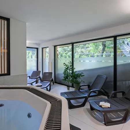 Апартаменты Male Zywczanskie Spa, Odkryj-zakopane Закопане