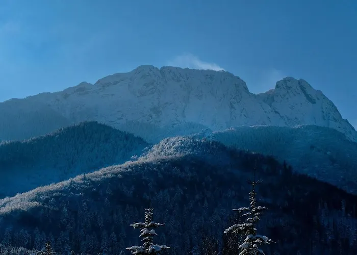 Male Zywczanskie Spa, Odkryj-zakopane Apartamento *